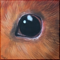 Augenblick eines Meerschweinchens; Acryl auf Leinwand;
30 x 30 cm